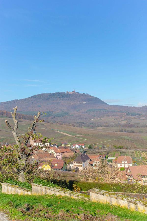Gite La Rodernelle - Sauna Privatif - Climatisation - Vue Sur Le Chateau Du Haut Koenigsbourg Экстерьер фото