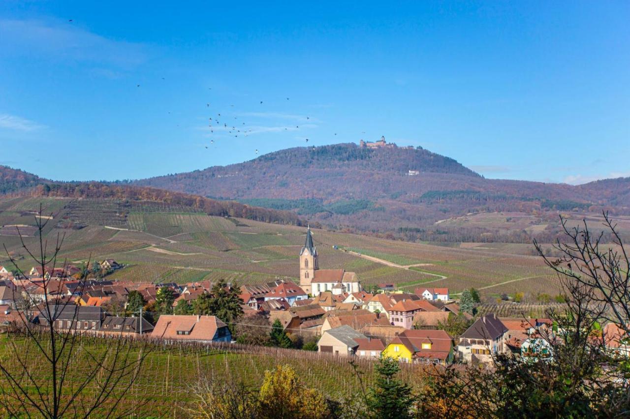 Gite La Rodernelle - Sauna Privatif - Climatisation - Vue Sur Le Chateau Du Haut Koenigsbourg Экстерьер фото